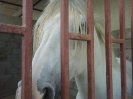 12642443_1967812156776546_7811784872774588716_n