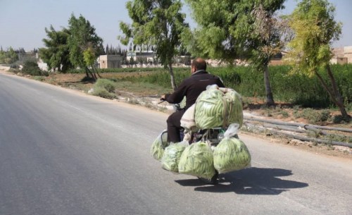 10373669_754723474573706_7615772888022506750_n