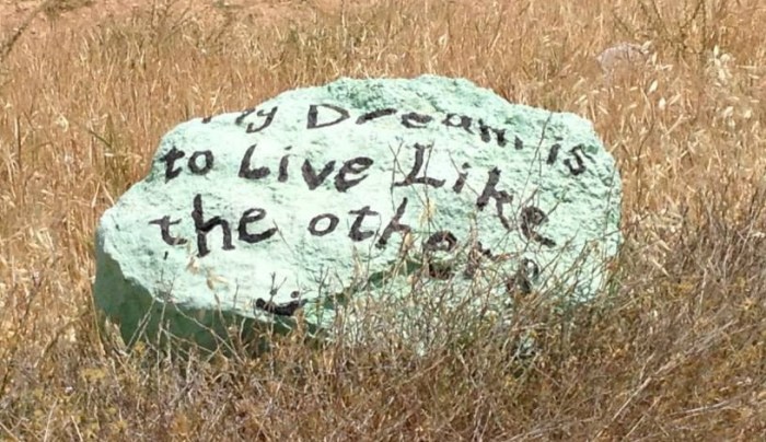 10384059_1503638363210533_5138863652505312888_n