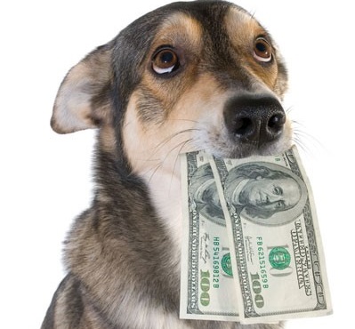 200_dollar_dog_1