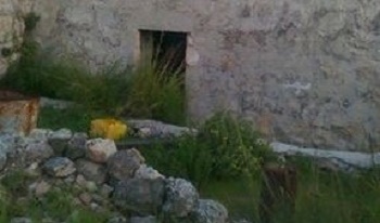 5578_234565873354998_1894313422_n1