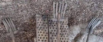 10411820_436565496522221_6389907479205856236_n