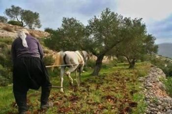 11129760_10204068378529249_243277984_n