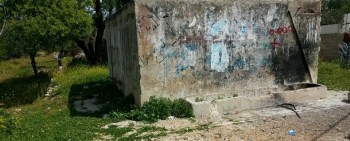 11406896_10206909212033887_6067927134208349325_n