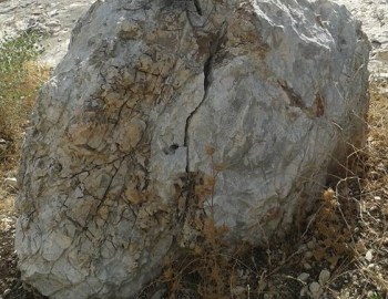 11903931_1640783382872662_3015571134062344541_n