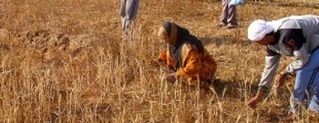 130410_2011_05_27_16_44_20.image2