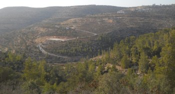 1545707_329806770522775_5781598326693321410_n