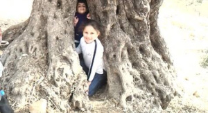 1781942_261015247401928_962381928_n