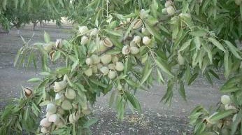 10382177_782038238561988_3030287261694559938_n