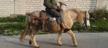 10427678_1578832832335294_1236939997104340159_n