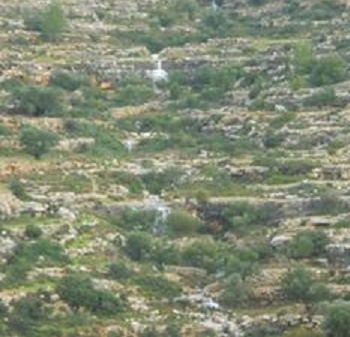 10991246_394614707375314_8866055764917183537_n1