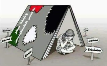 11140307_10206723930921975_1041279287096579724_n