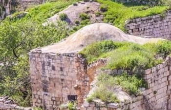 12791112_1687600061523424_6455083376768209085_n (1)