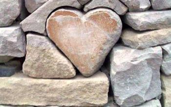 561362_424530957565414_2105068574_n