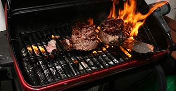 free-1865159355177967011