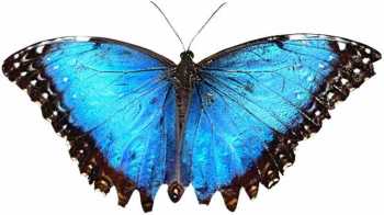 www_4photos_net_1142867563