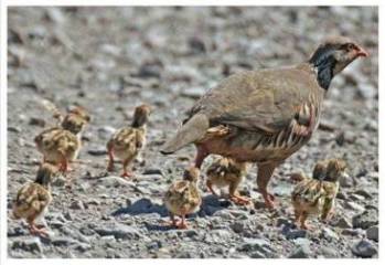 10299099_1487827928102452_5990170631460670606_n