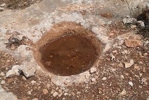 10302104_1493356907549554_2468113234027594992_n