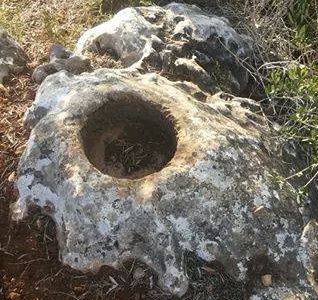 10414637_1558849041000340_1268766977915678178_n