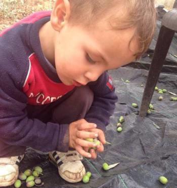 10614373_782308455179391_7703883538479241378_n