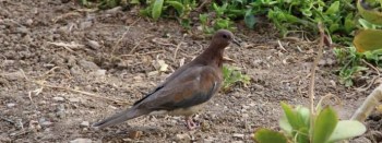 969103_556808207702790_100961876_n