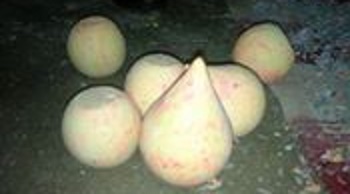 11007498_886917707996784_1856883192_n