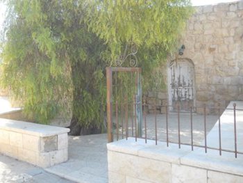 10712836_342854785884640_2268278368163964661_n