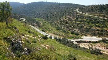 11205063_10206745590983463_4745163024515980506_n