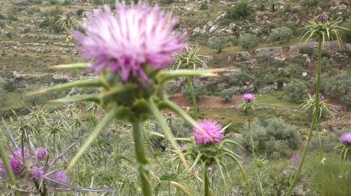 1012393_10151620368278122_1079594264_n