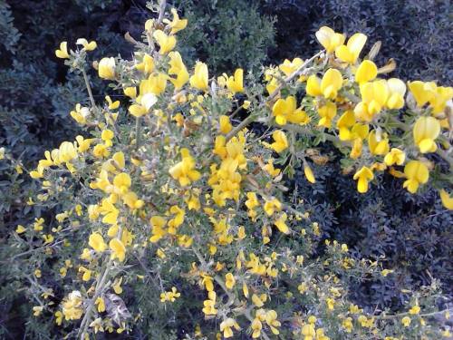 10487238_828781903809079_2934363150073577206_n