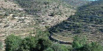 10553617_672062582863861_3628371711007216742_n