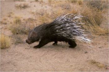 10805653_1646787532202012_485364234640078854_n