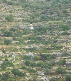 10991246_394614707375314_8866055764917183537_n1