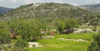 11892031_552797631538531_8131443133700896192_n