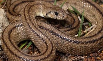 42f03b2a575442d50d8b41b2295b49be