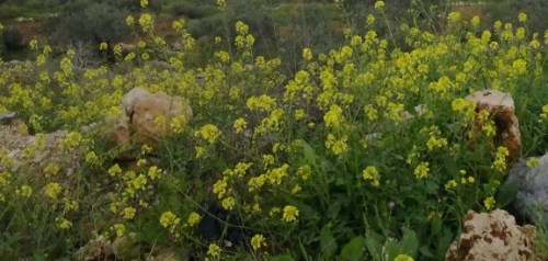 560186_10151421284173812_2083718575_n