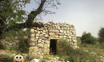 11081266_440270152814453_793862602078361919_n