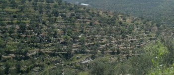 11087811_10152970394903122_1518071288788227433_o