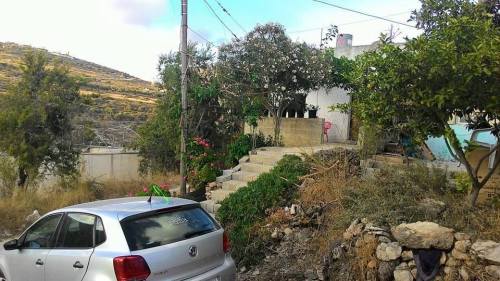 11150585_537555539736327_1591397356665843860_n