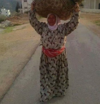 11872763_474723636029307_718227303_n