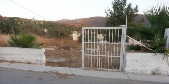 11873480_408539546008260_5453620262297362017_n