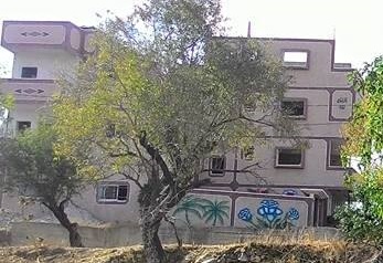 11953266_536118703213344_7775150242034277723_n