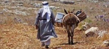 12669510_10153282795841022_8980463544078867969_n