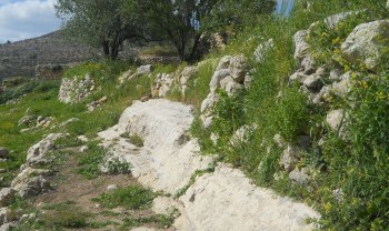 1459144_436620033179465_403086754302937867_n