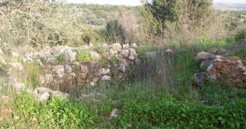 11916105_905281636225484_5078766538168307472_n