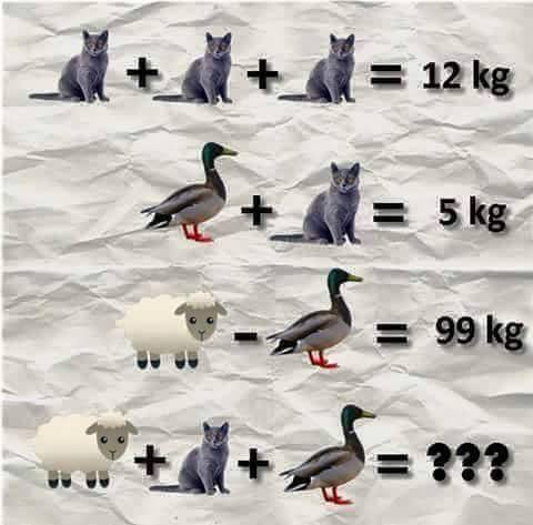 12507200_1230579626971288_7419614441792844210_n