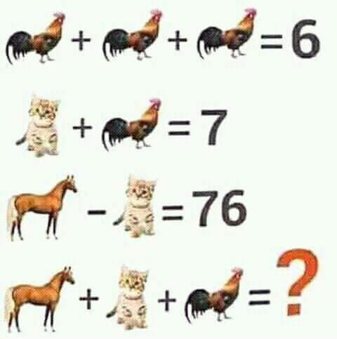 12552759_989198611150996_2582938613138200320_n