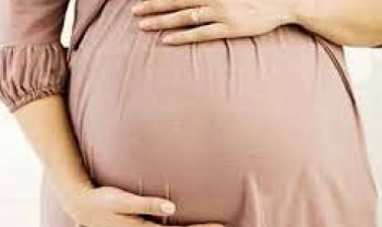 e87befc21ea13d50ec98a3a4dbdaed55