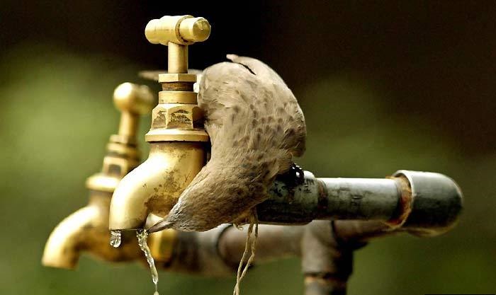 eslambaker2010-1213369936