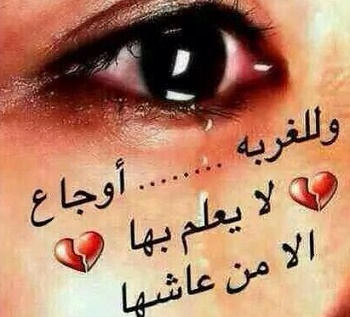 11064707_808519602562695_3122864630319100706_n